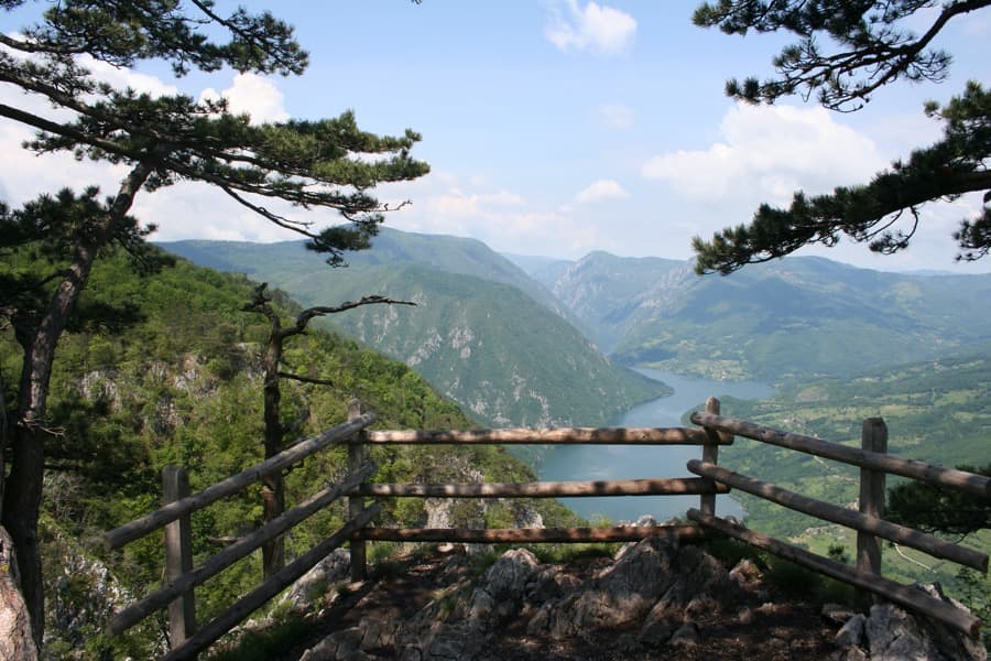 planina-tara